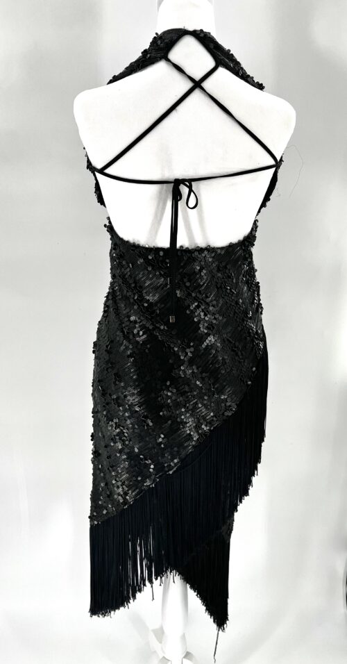 Rent- Black Sequin Dress With Fringes - Image 6