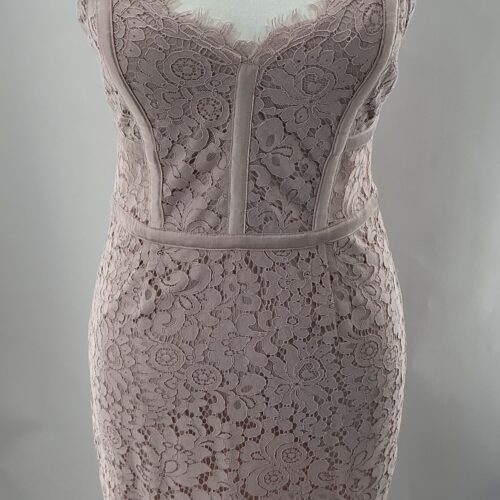 Dress - Rose Blush Lace Dress Express