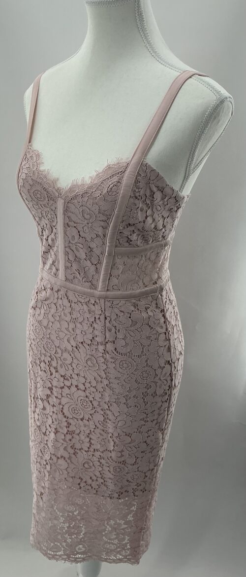 Dress - Rose Blush Lace Dress Express - Image 6