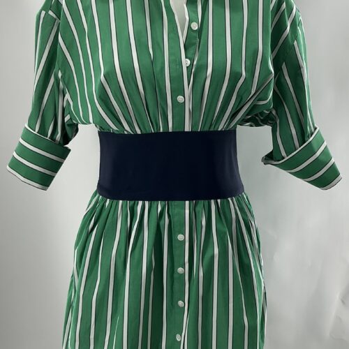 Dress -Green Stripped Dress Blue Belt