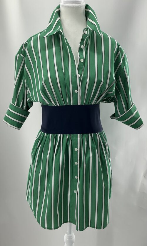 Dress -Green Stripped Dress Blue Belt
