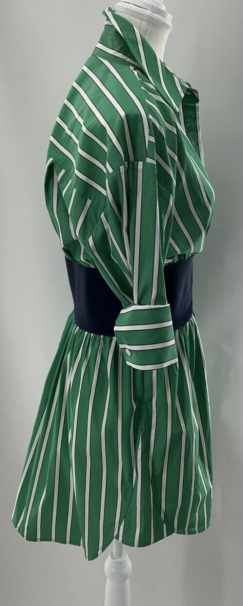 Dress -Green Stripped Dress Blue Belt - Image 4