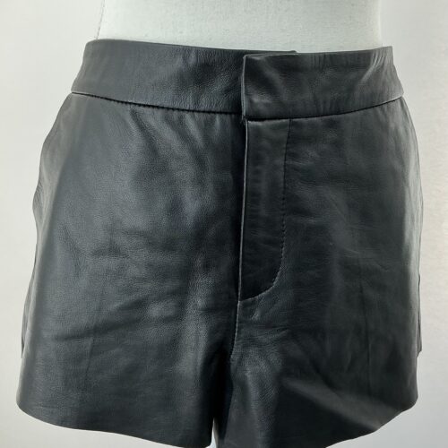 Skirt - Black Leather ZARA Skirt