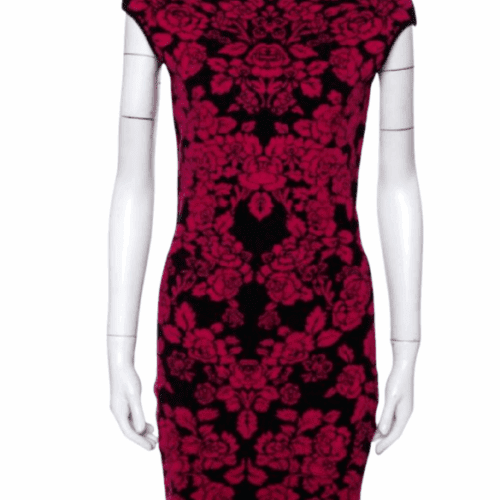 Dress - Red and Black Alexandre Macqueen Short Dress