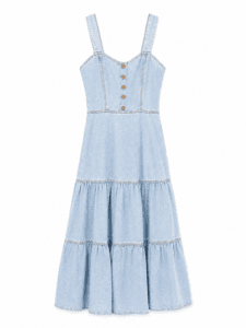Carol Bassi Light Denim Maxi Dress